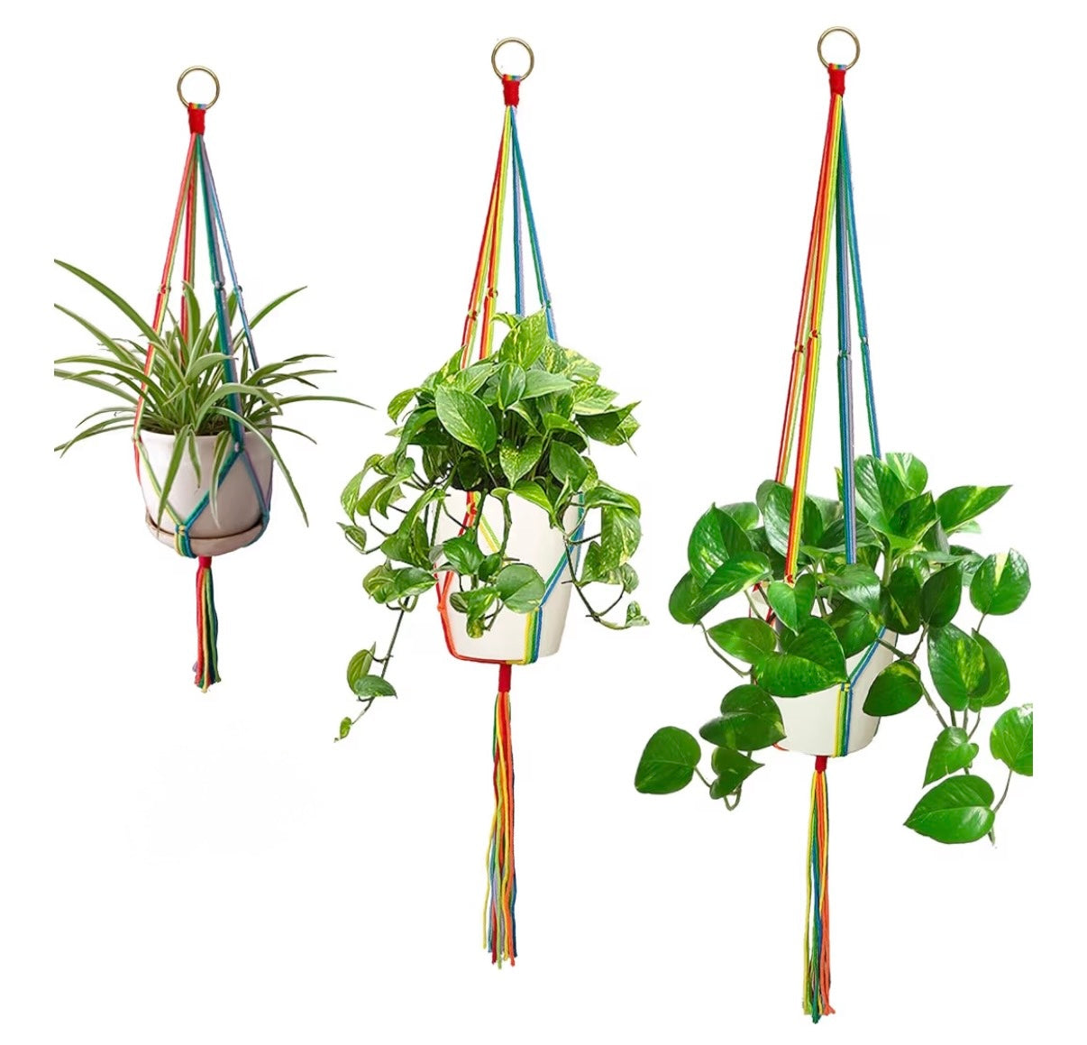 Rainbow Macrame Plant Hangers